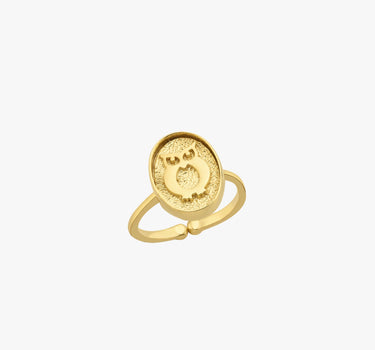 Owl Ring | 14K Gold Vermeil - Mionza Jewelry-14k gold vermeil, animal jewelry rings, birthday gift, gift for mother, gold bird ring, gold owl jewelry, gold owl ring, open rings, owl gold, owl jewelry, owl ring women, owl rings, ring animal