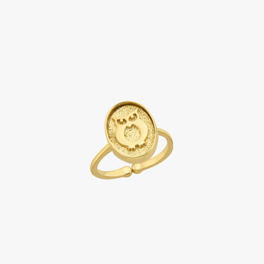 Owl Ring | 14K Gold Vermeil - Mionza Jewelry-14k gold vermeil, animal jewelry rings, birthday gift, gift for mother, gold bird ring, gold owl jewelry, gold owl ring, open rings, owl gold, owl jewelry, owl ring women, owl rings, ring animal