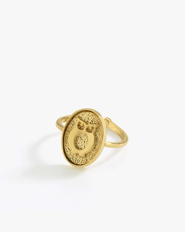 Owl Ring | 14K Gold Vermeil - Mionza Jewelry-14k gold vermeil, animal jewelry rings, birthday gift, gift for mother, gold bird ring, gold owl jewelry, gold owl ring, open rings, owl gold, owl jewelry, owl ring women, owl rings, ring animal