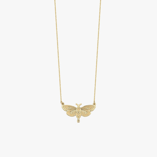 Moth Necklace | 14K Solid Gold - Mionza Jewelry-bug jewelry, halloween gifts, halloween jewelry, halloween necklace, luna moth jewelry, luna moth necklace, moth earrings, moth jewelry, moth necklace, moth wings necklace, silver goth necklace, silver moth jewelry, silver moth necklace