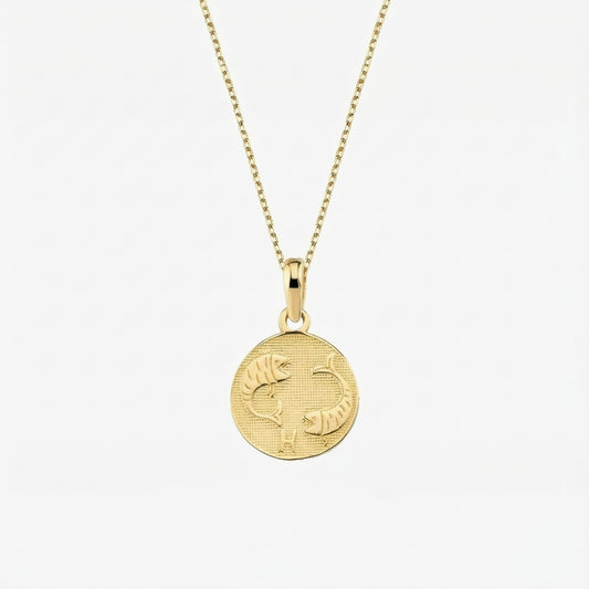 Pisces Zodiac Necklace | 14K Solid Gold
