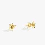 March Birth Flower Earrings | 18K Gold Vermeil