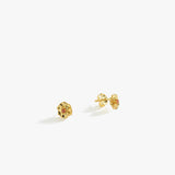 January Birth Flower Earrings | 18K Gold Vermeil