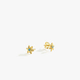 December Birth Flower Earrings | 18K Gold Vermeil