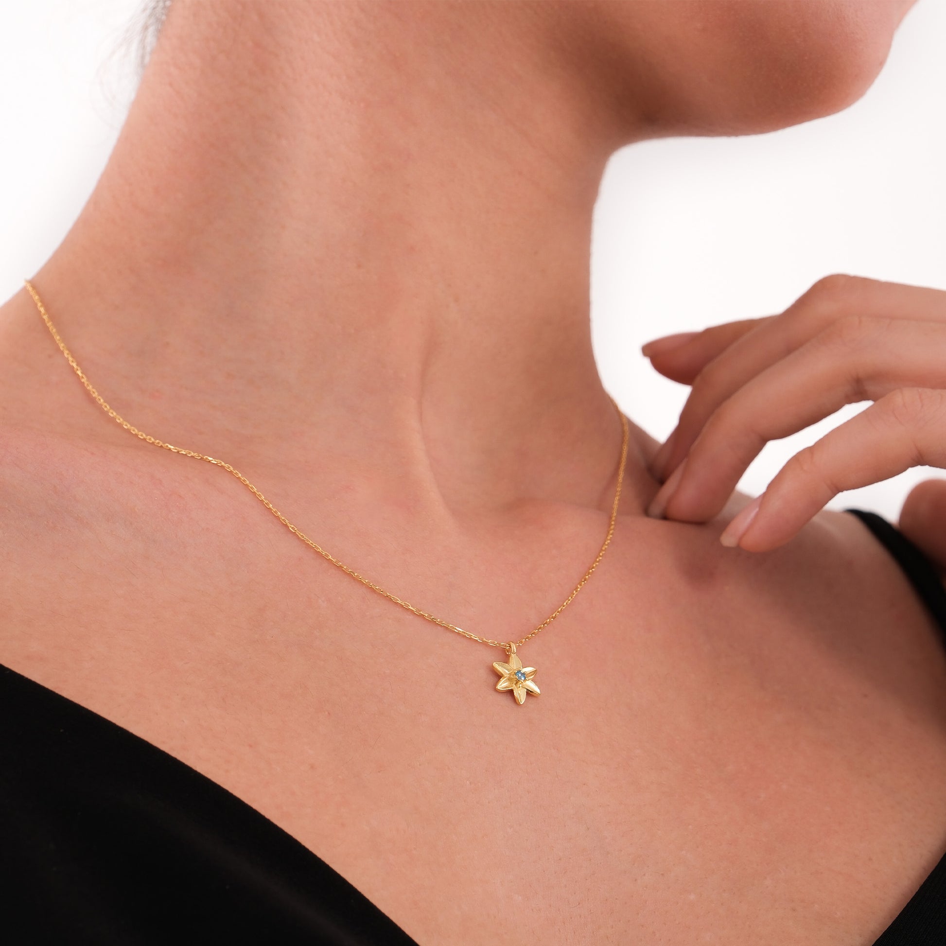 December Birth Flower Necklace | 18K Gold Vermeil