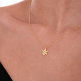 December Birth Flower Necklace | 18K Gold Vermeil