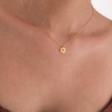 January Birth Flower Necklace | 18K Gold Vermeil