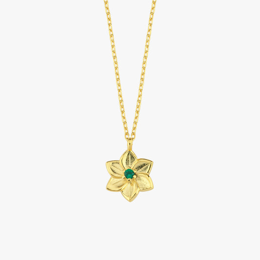 May Birth Stone Necklace | 18K Gold Vermeil