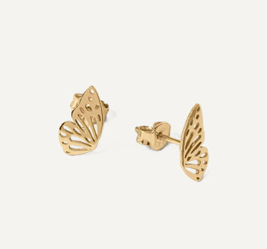 Butterfly Wing Stud Earrings | 14K Solid Gold or Gold Plated 925 Silver Mionza